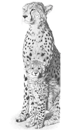 Black And White Animal Diamond Painting Kit | Full Round Drill 5D Rhinestones | DIY Animal Portrait | Cheetah And Cub