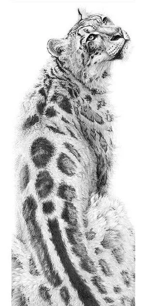 Black And White Cheetah Diamond Painting Kit | Full Round Drill 5D Rhinestones | DIY Animal Portrait