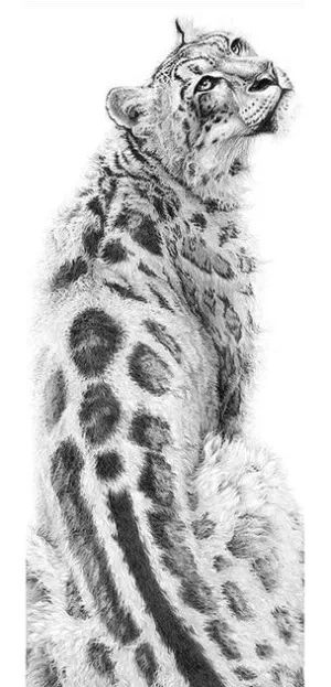 Black And White Cheetah Diamond Painting Kit | Full Round Drill 5D Rhinestones | DIY Animal Portrait