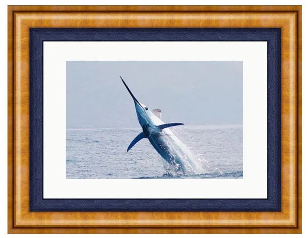 BLUE MARLIN PHOTO ART FRAMED