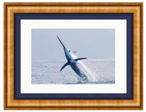 BLUE MARLIN PHOTO ART FRAMED