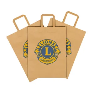 BROWN KRAFT BAG 10/PK
