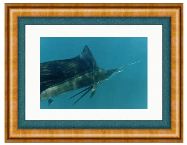 CLOSE UP PHOTO ART FRAMED