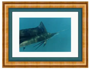 CLOSE UP PHOTO ART FRAMED