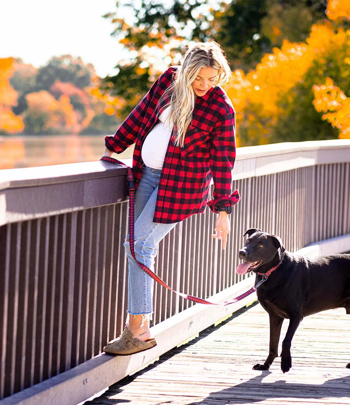 Everyday Dog Leash - Red Buffalo