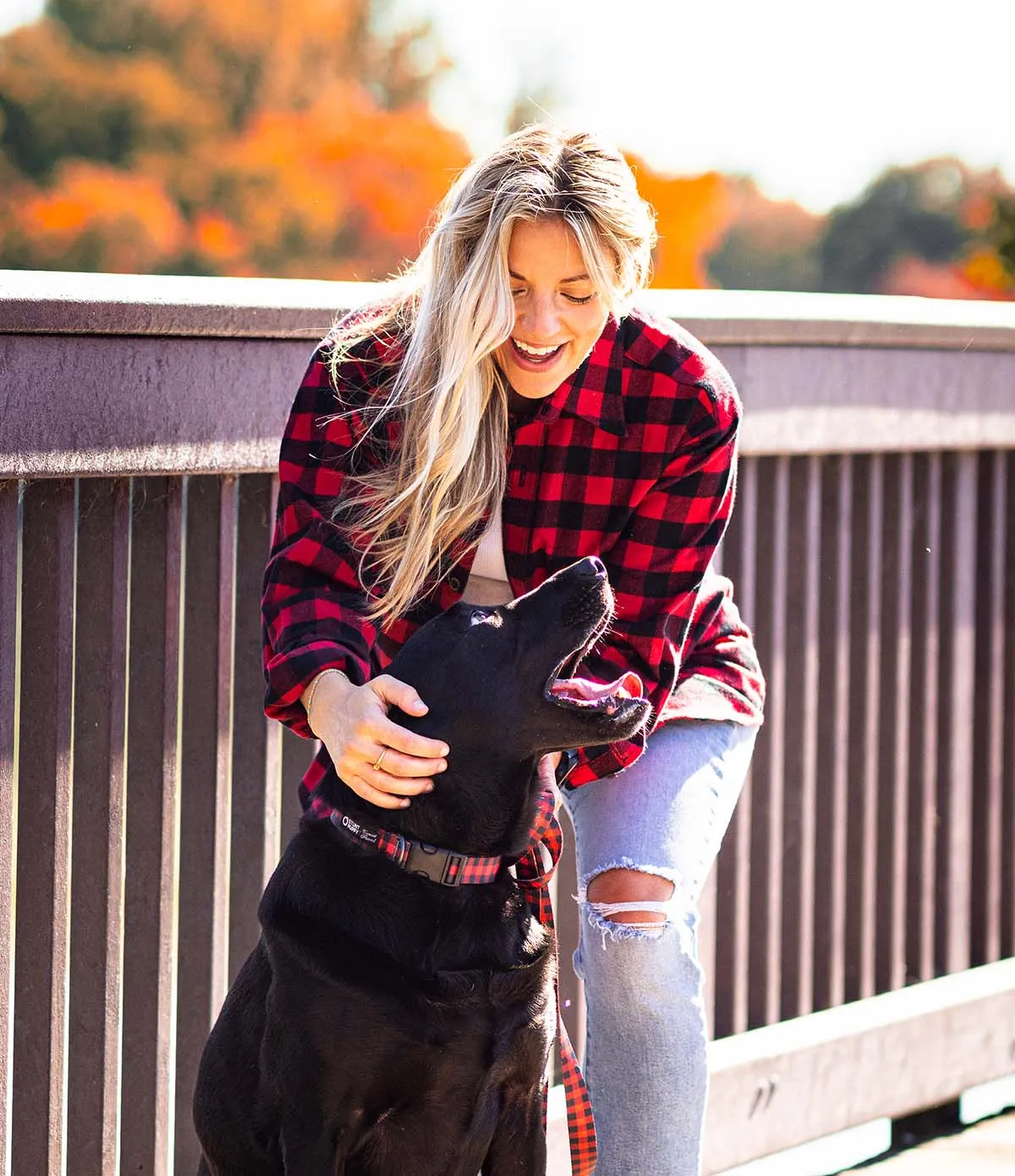 Everyday Dog Leash - Red Buffalo
