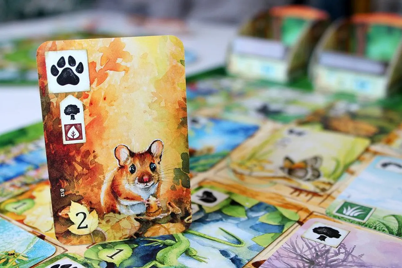 Meadow Board Game SALE