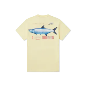 Outfitter Collection Tee - Tarpon