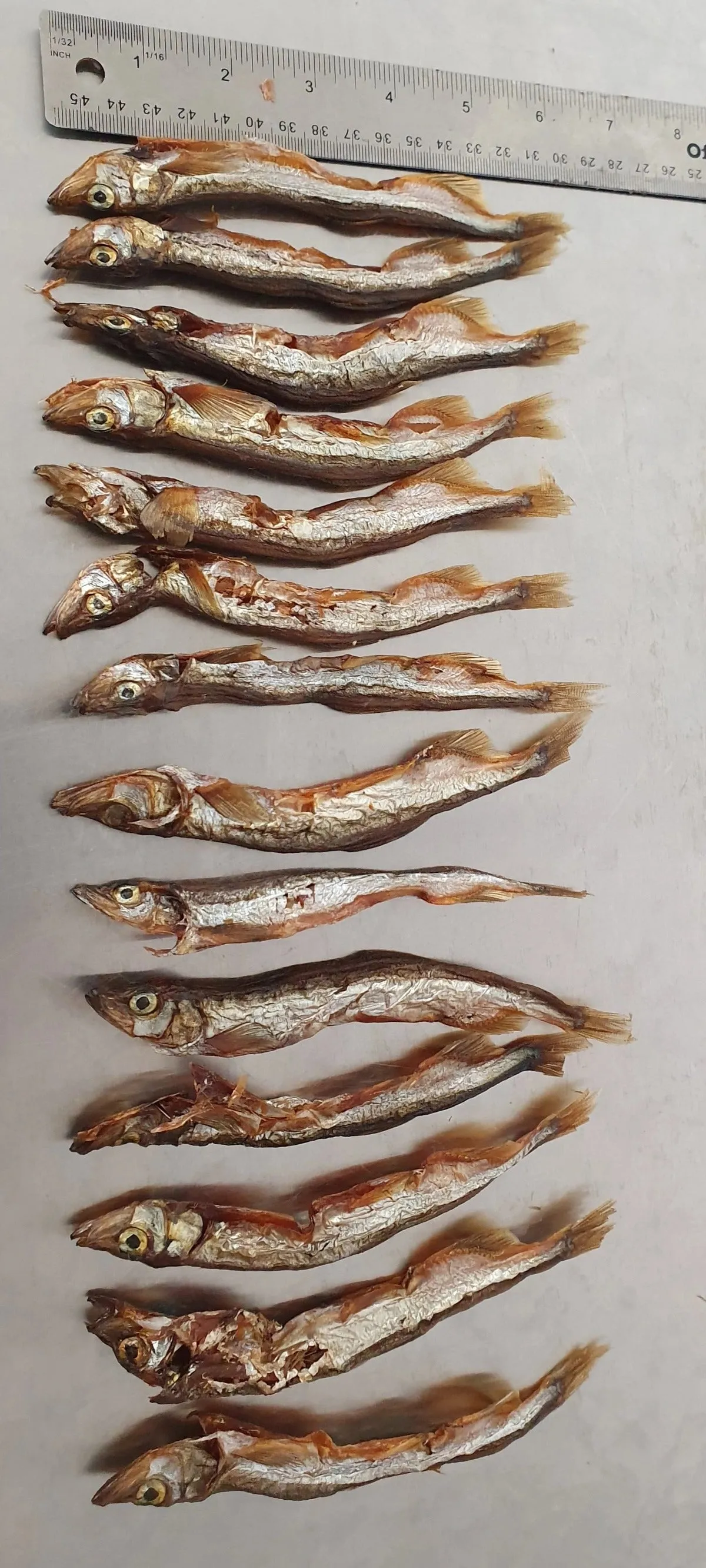 Whole Capelin | Dog Treats